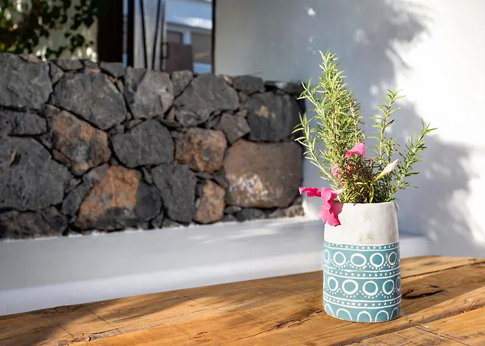 Apartamento La Higuera